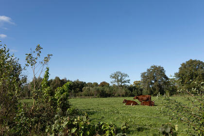 1E69D2ABBFE54B37A8769C95C5970CD6 Vraag en aanbod - AViN - Antroposofische Vereniging in Nederland